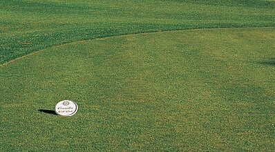 Cornelia De Luxe Resort Genel Görünüm