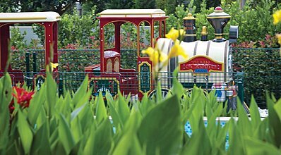 Cornelia Diamond Golf Resort Spa Genel Görünüm