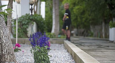 Costa Maya Bodrum Genel Görünüm