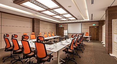 DAS 3917 Genel Görünüm