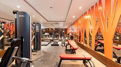 DAS 3917 Genel Görünüm