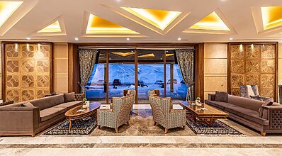 DAS 3917 Genel Görünüm