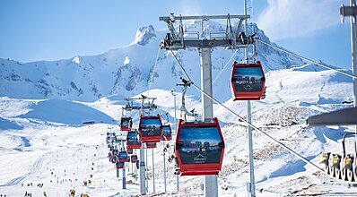 DAS 3917 Genel Görünüm