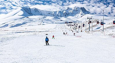 DAS 3917 Genel Görünüm