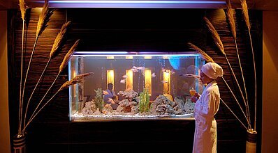 Delphin Botanik Hotel Genel Görünüm