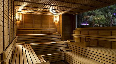 Delphin Palace De Luxe Collection Genel Görünüm