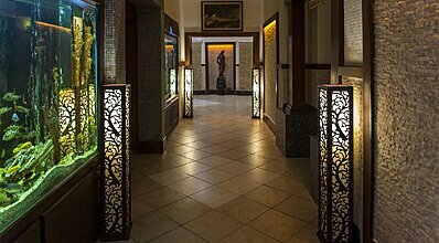 Delphin Palace De Luxe Collection Genel Görünüm