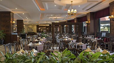 Delphin Palace De Luxe Collection Yeme / İçme