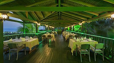 Delphin Palace De Luxe Collection Yeme / İçme