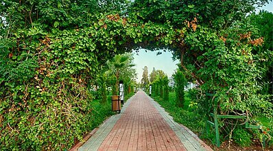 Doramar Resort & Aqua Tatil Köyü Genel Görünüm