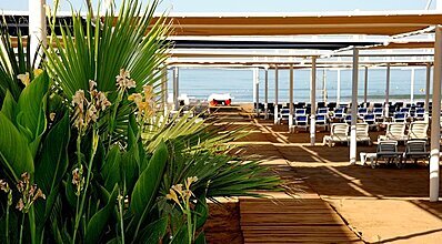 Dream Family Club Havuz / Deniz