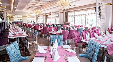 Dream World Aqua Yeme / İçme