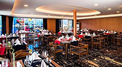 Dream World Aqua Yeme / İçme