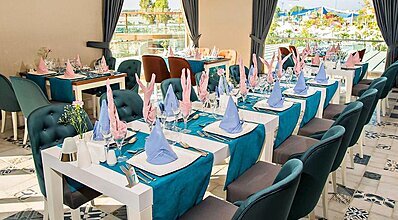 Dream World Aqua Yeme / İçme