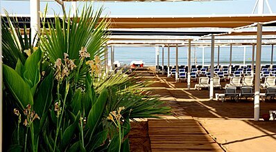 Dream World Hill Havuz / Deniz