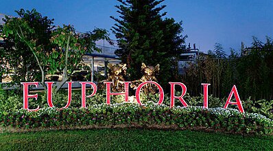 Euphoria Palm Beach Resort Genel Görünüm