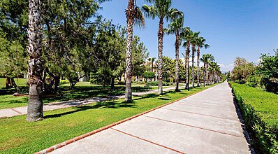 Euphoria Palm Beach Resort Genel Görünüm