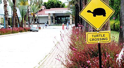 Euphoria Palm Beach Resort Genel Görünüm