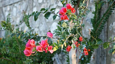 Flow Datca Hotel Genel Görünüm