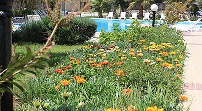 Flow Datca Hotel Genel Görünüm