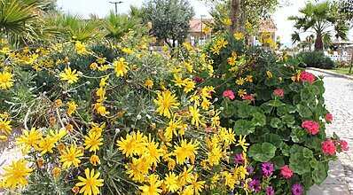 Flow Datca Hotel Genel Görünüm