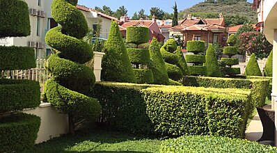 Grand Cettia Hotel Oda