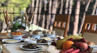 Green Forest Holiday Village  Yeme / İçme