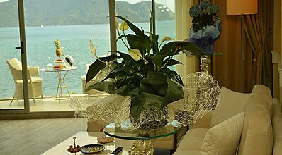 Green Nature Diamond Oda