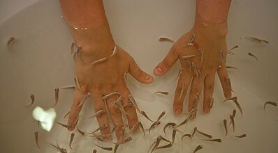 Green Nature Resort & Spa Genel Görünüm