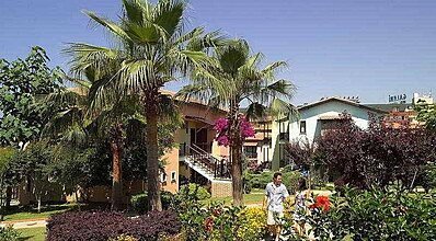 Gypsophila Holiday Village Otel Genel Görünüm