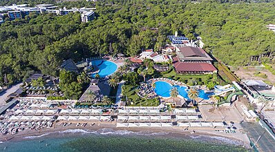 Gypsophila Marine Genel Görünüm