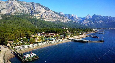 Gypsophila Marine Genel Görünüm