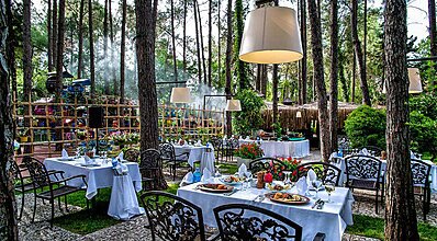 Gypsophila Marine Yeme / İçme