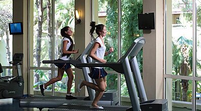 Gypsophila Marine Genel Görünüm