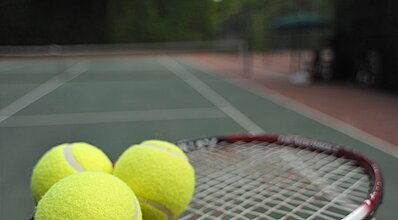 Gypsophila Marine Genel Görünüm