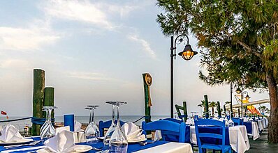 Gypsophila Marine Yeme / İçme