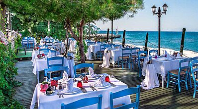 Gypsophila Marine Yeme / İçme