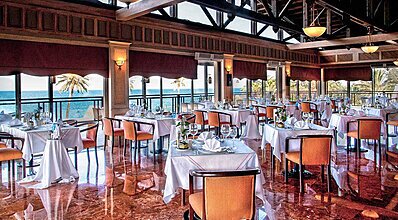 Gypsophila Marine Yeme / İçme