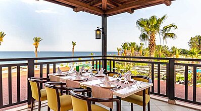 Gypsophila Marine Yeme / İçme