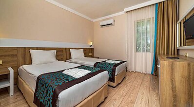 Gypsophila Marine Oda