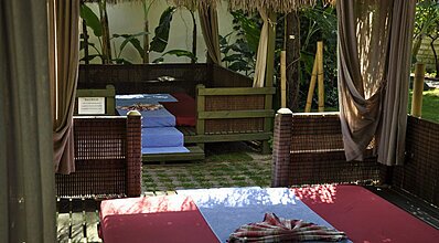 Gypsophila Marine Genel Görünüm