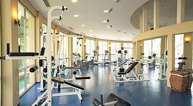 Gypsophila Marine Genel Görünüm