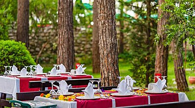 Gypsophila Marine Yeme / İçme