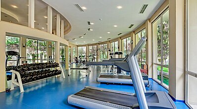 Gypsophila Marine Genel Görünüm