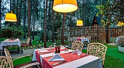 Gypsophila Marine Yeme / İçme