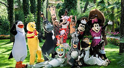 Gypsophila Marine Genel Görünüm