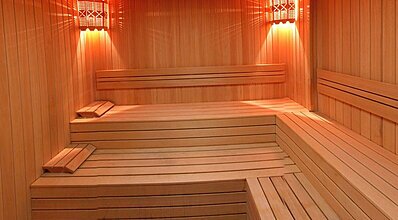 Gypsophila Marine Genel Görünüm