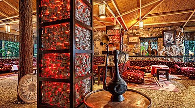 Gypsophila Marine Yeme / İçme