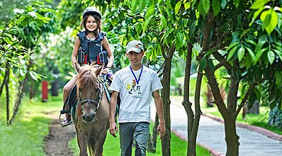 Gypsophila Marine Genel Görünüm