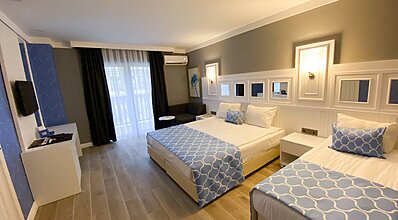 Gypsophila Marine Oda